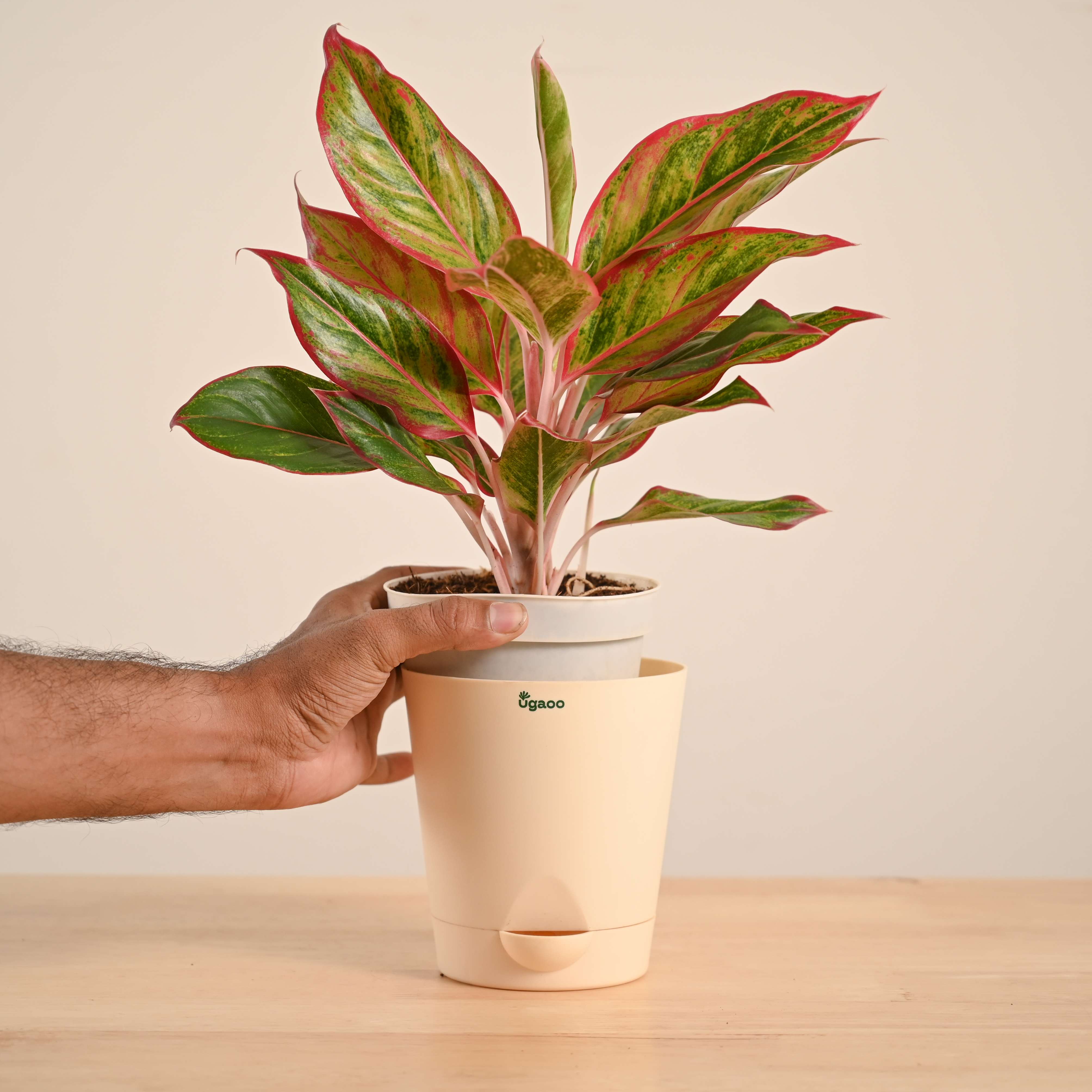 Product image 54