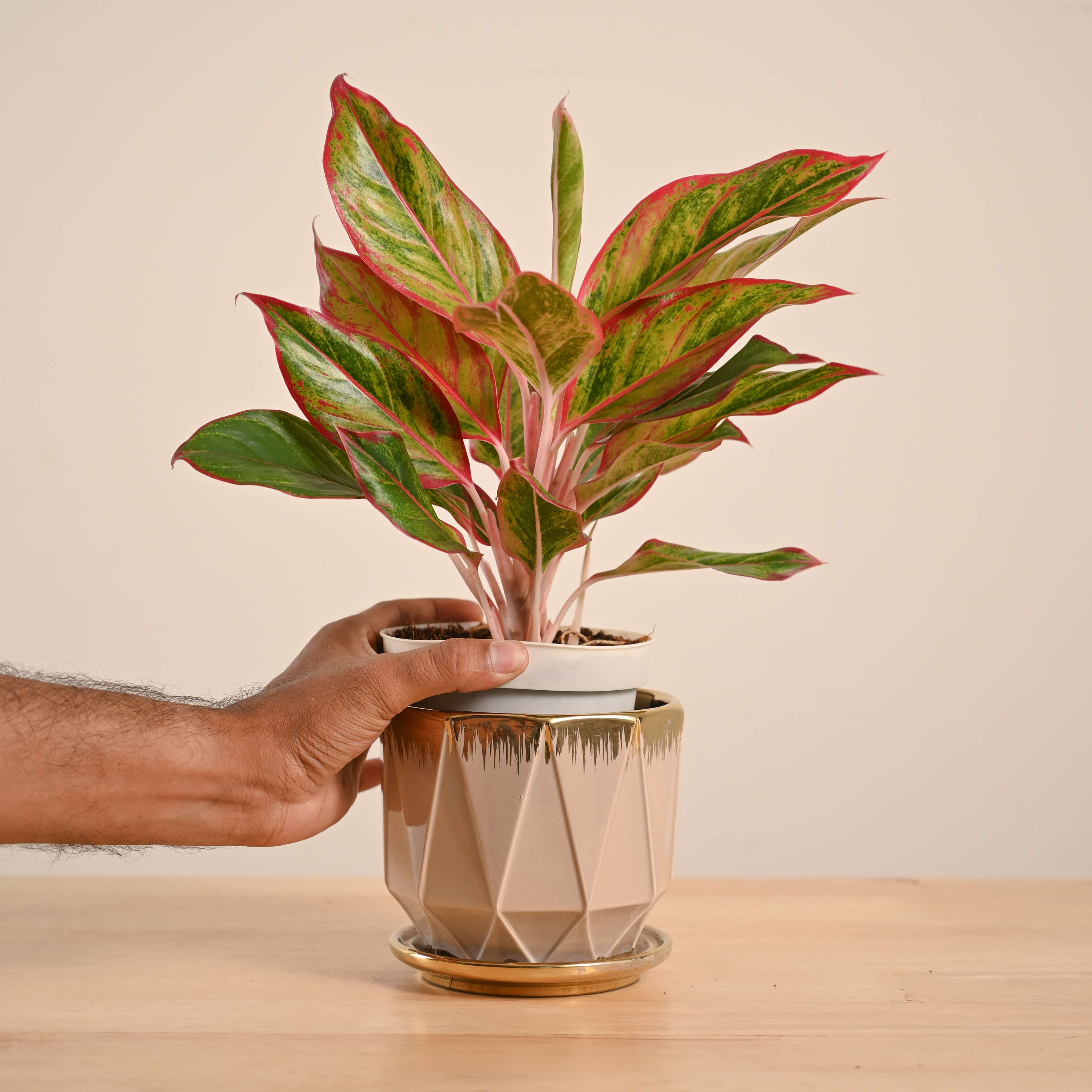 Product image 78