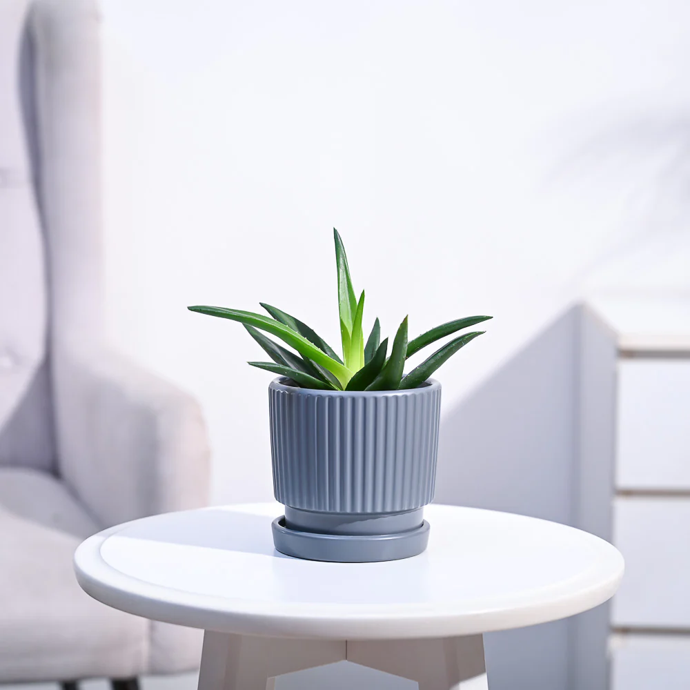 Product image 106