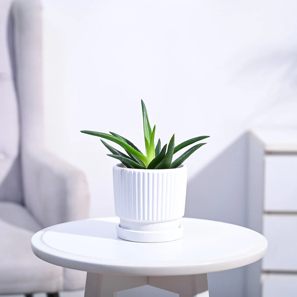 Product image 111