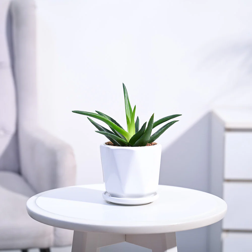 Product image 116