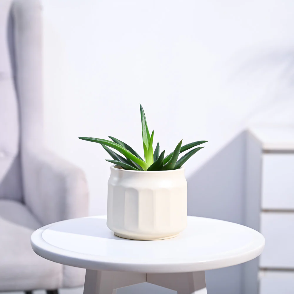Product image 136