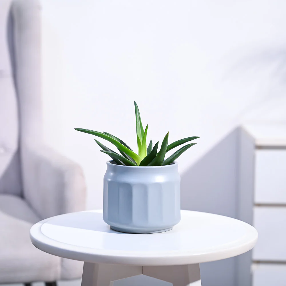Product image 141