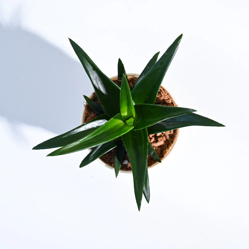 Product image 154