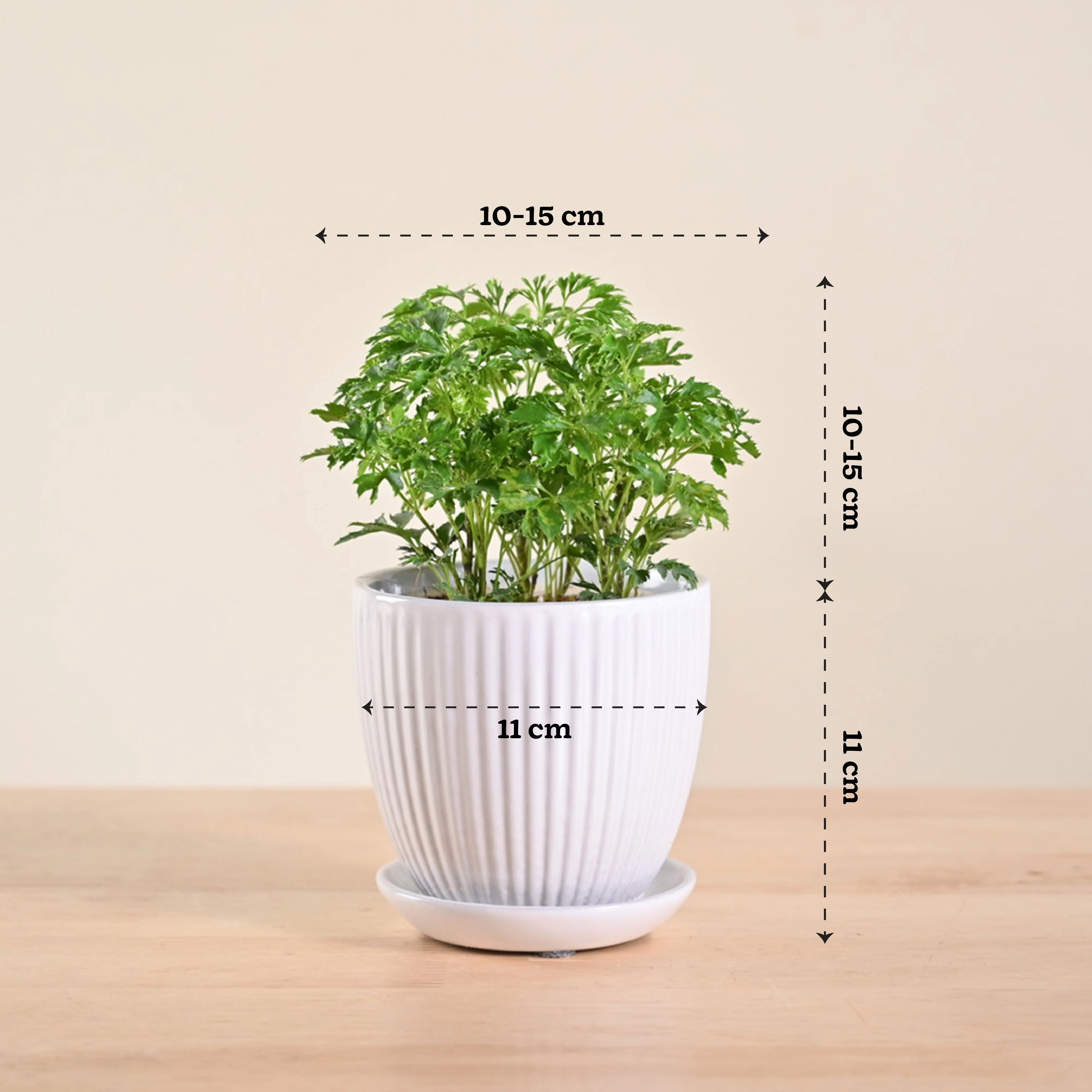 Product image 105