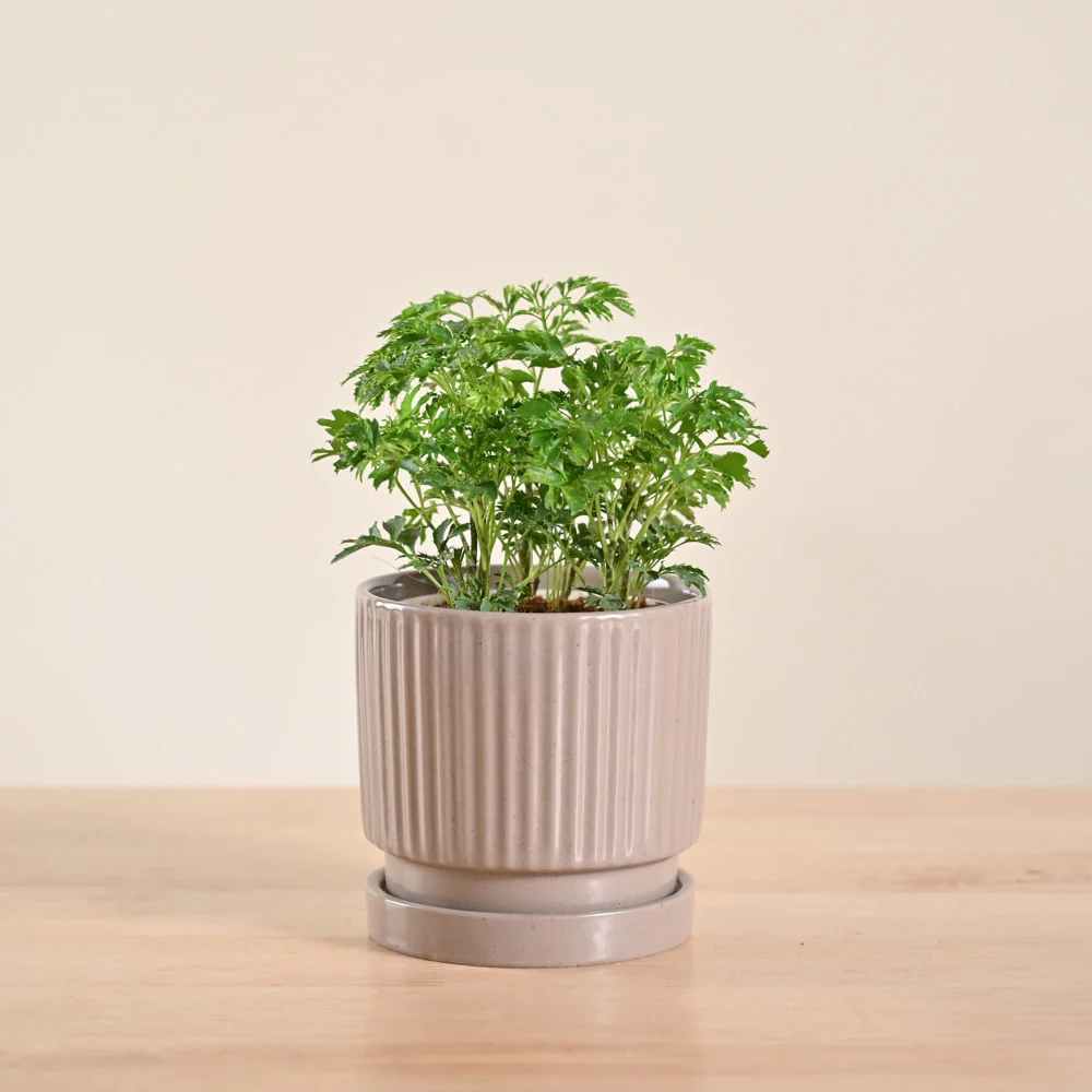 Product image 112