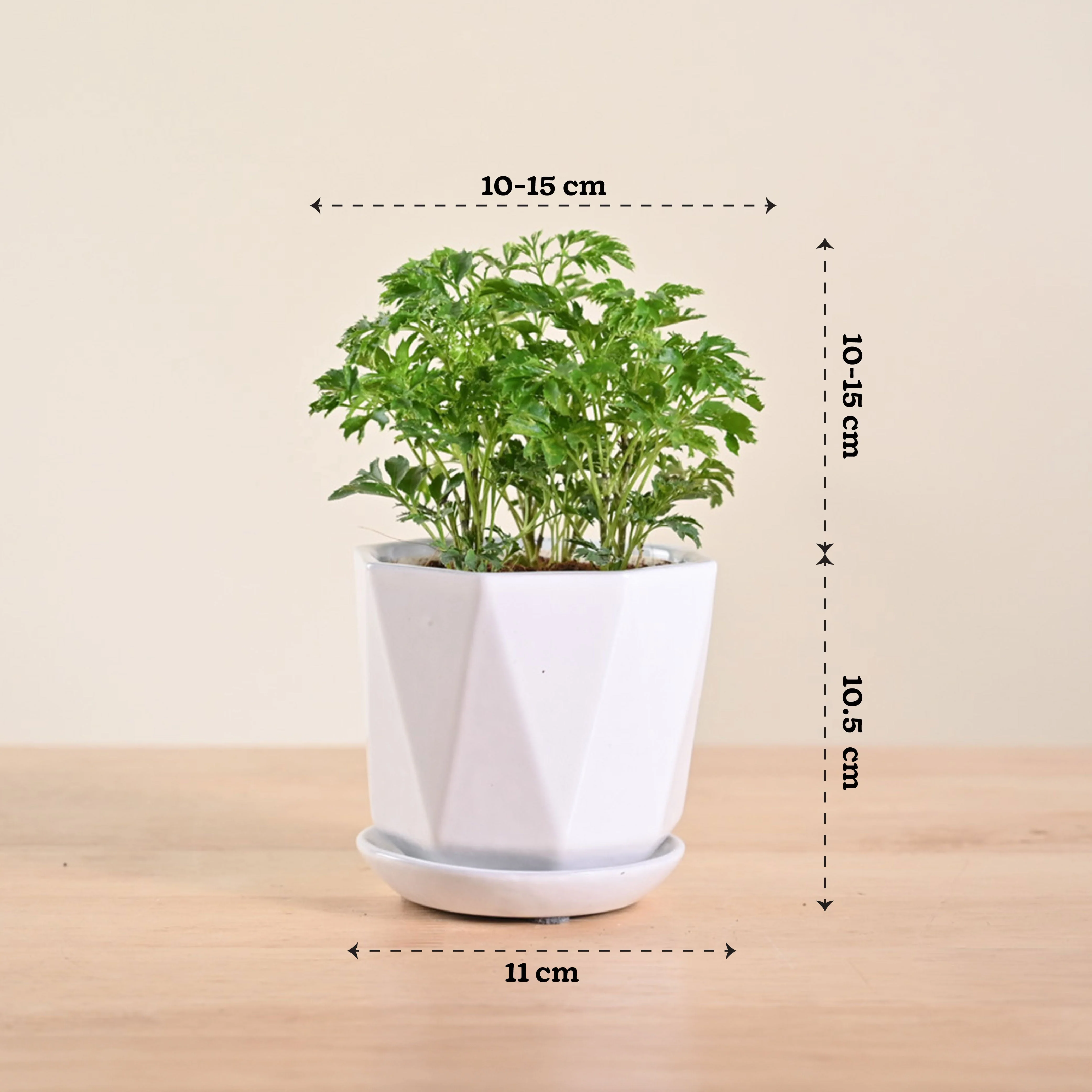 Product image 97