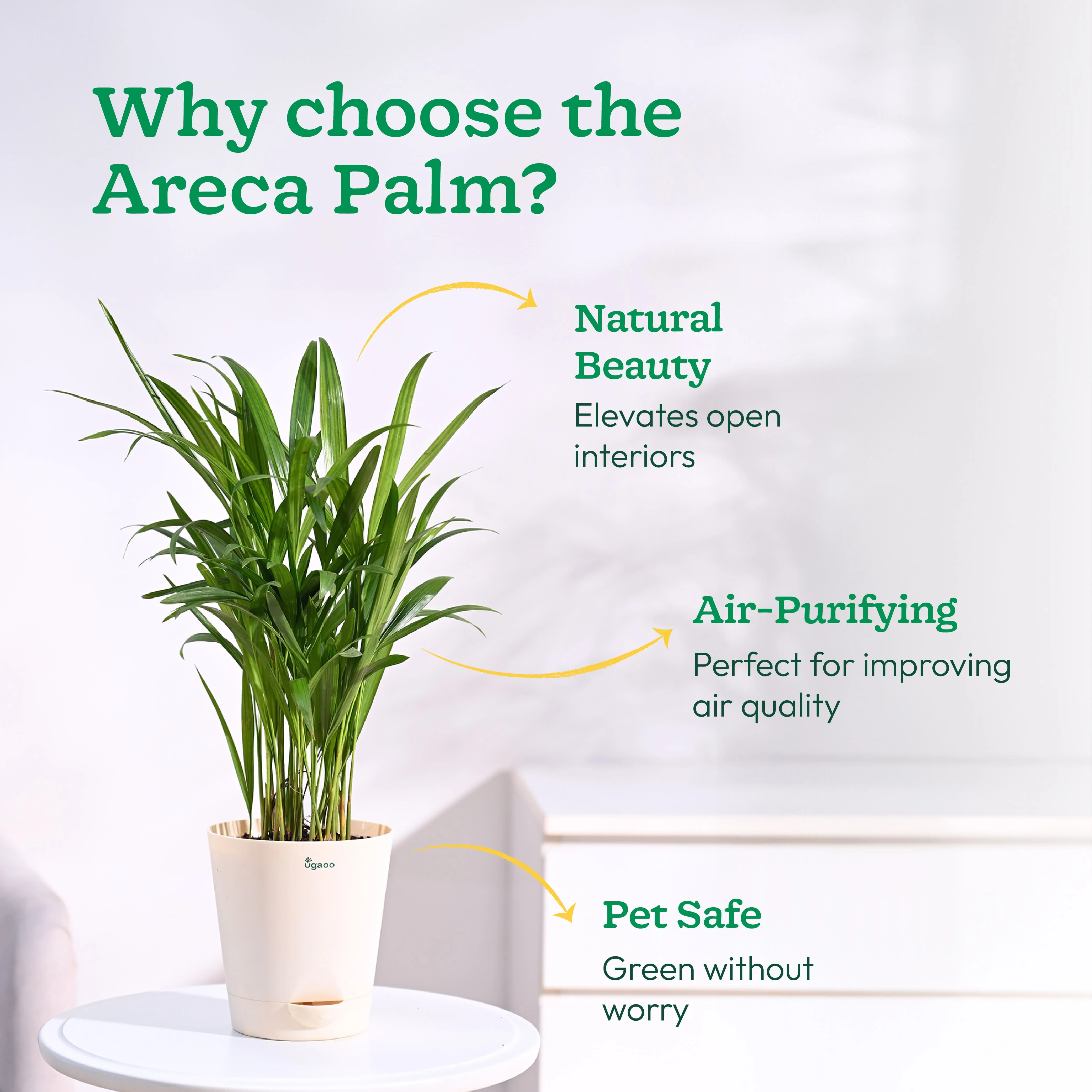Product image 108