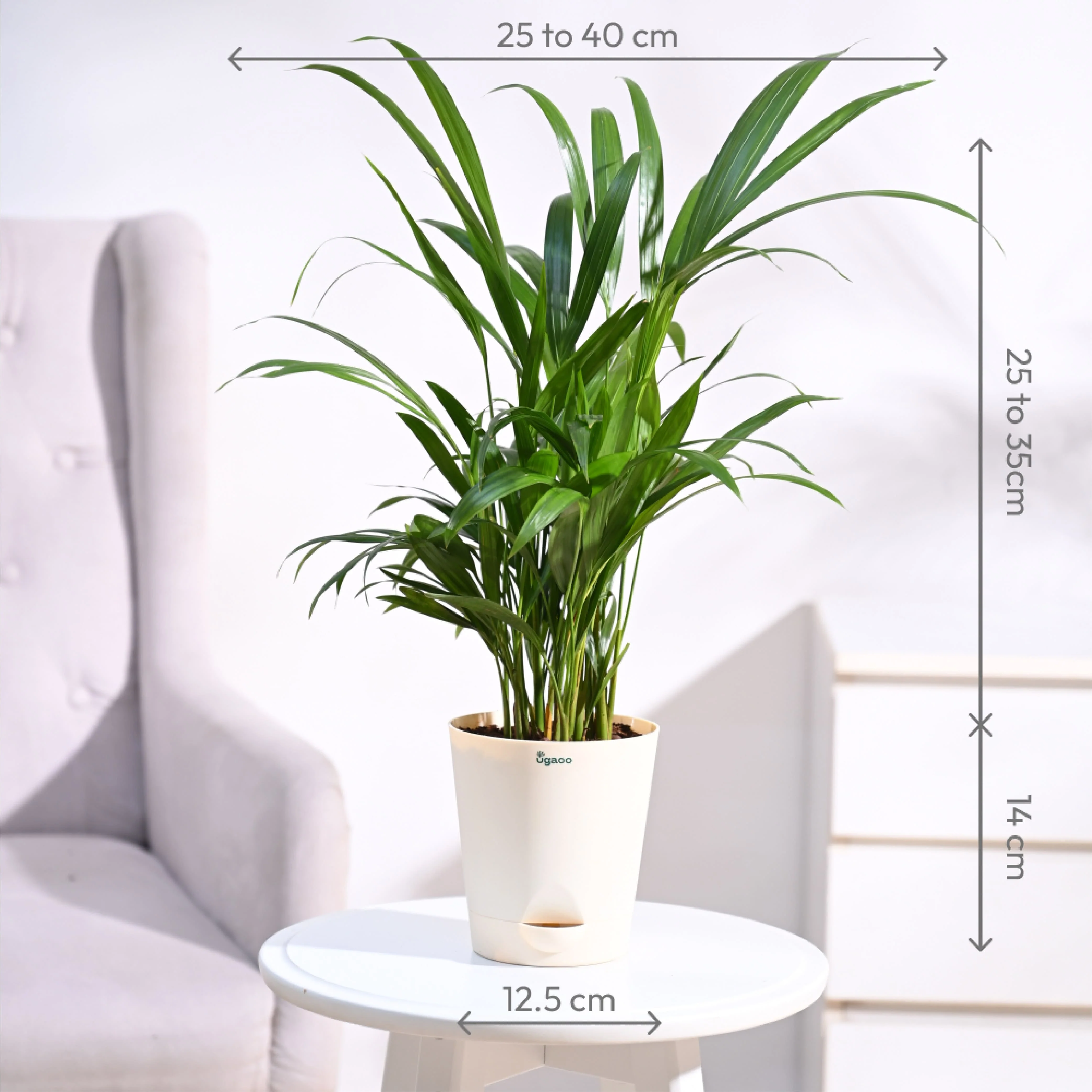 Product image 110