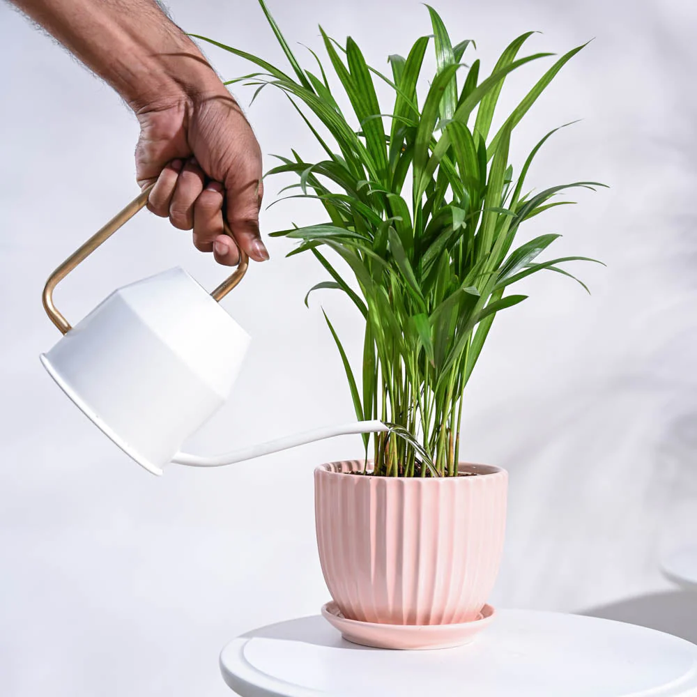 Product image 84