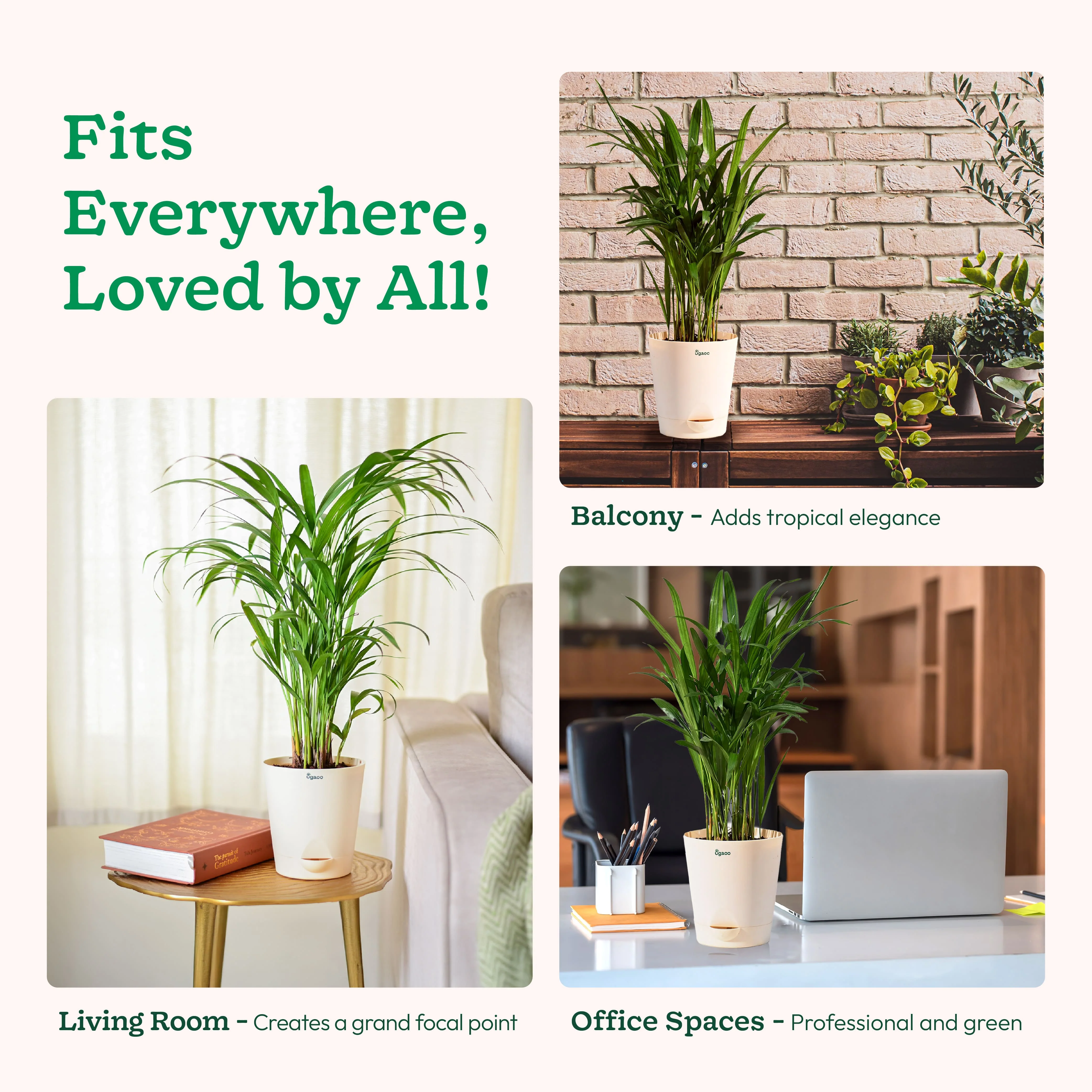 Product image 97