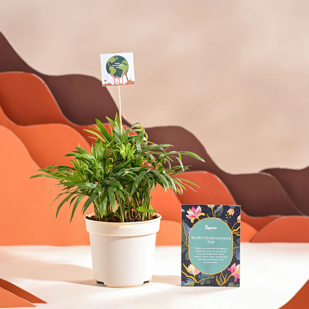 Product image 62