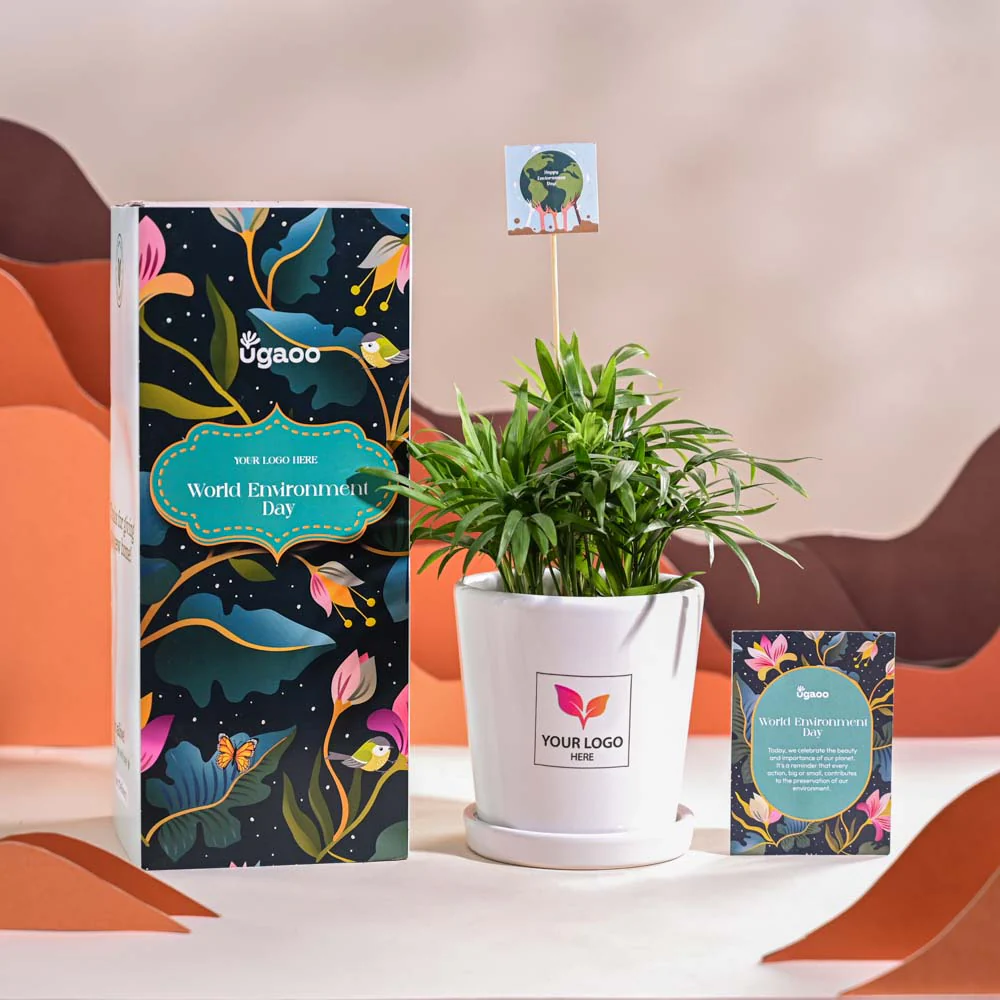 Product image 67