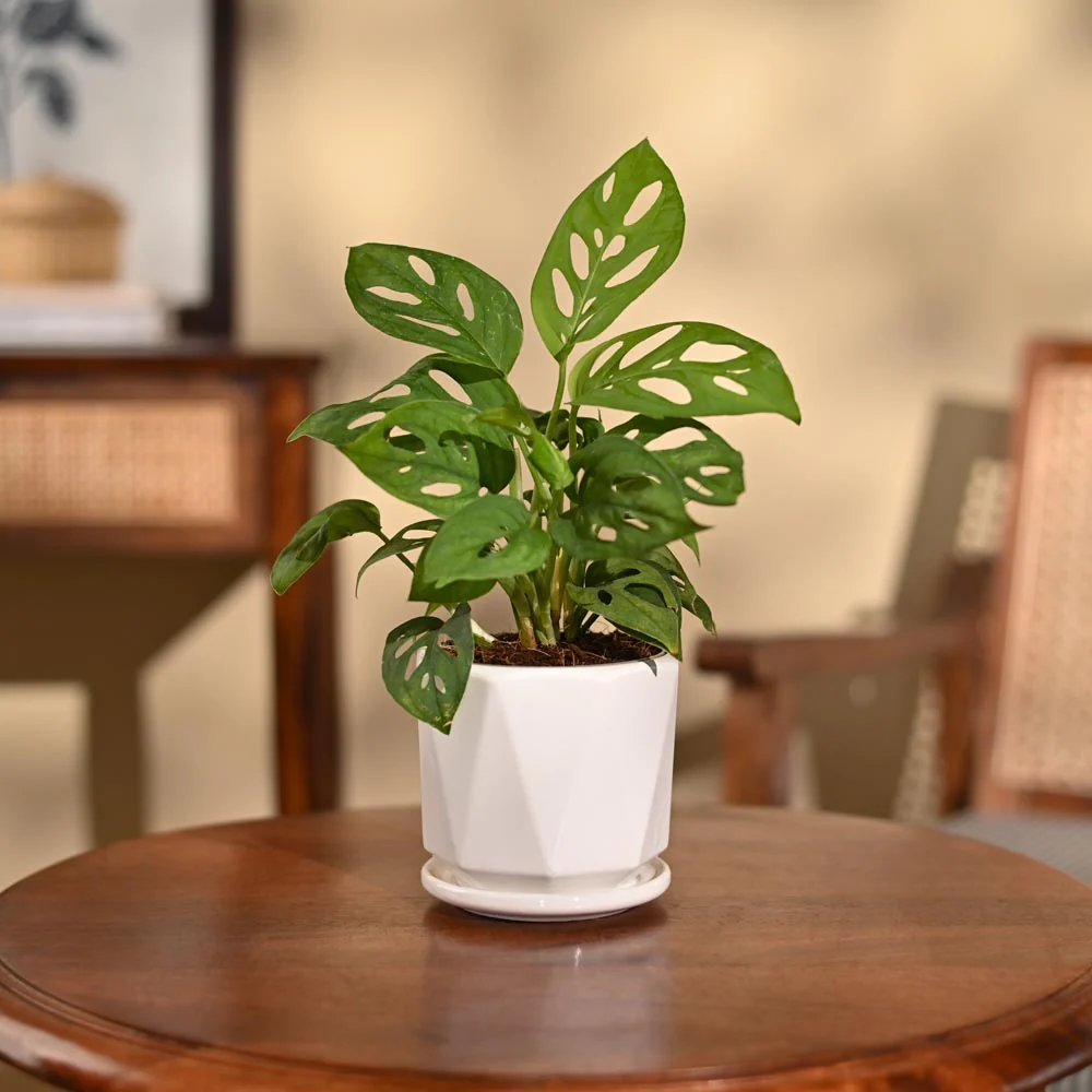 Product image 105