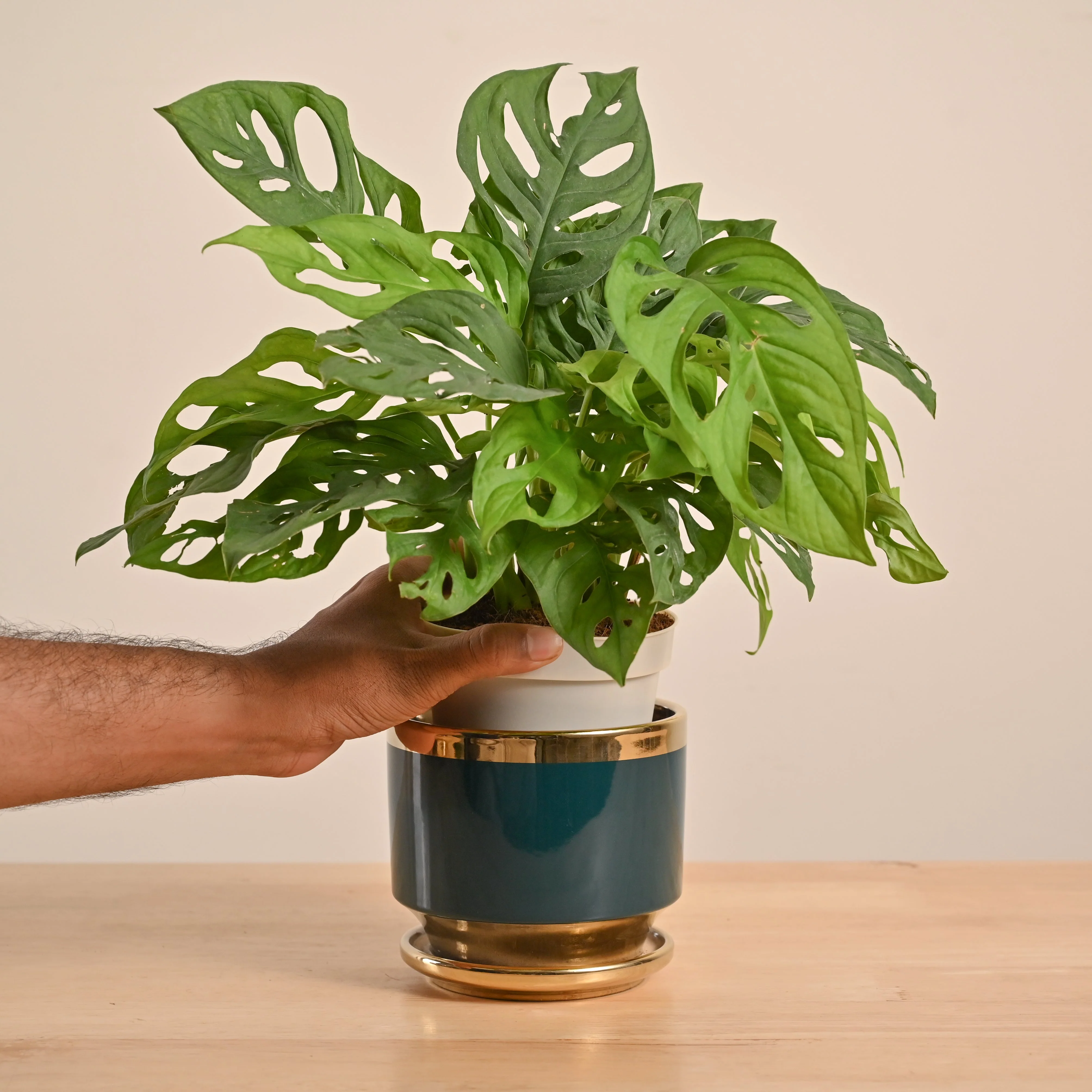 Product image 68
