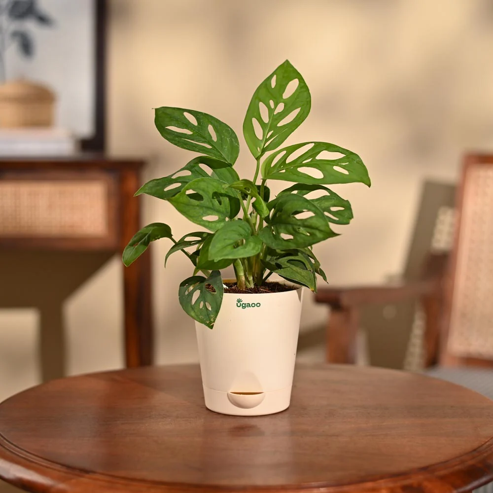 Product image 88