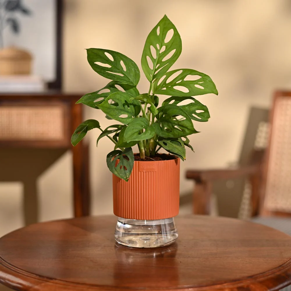 Product image 96