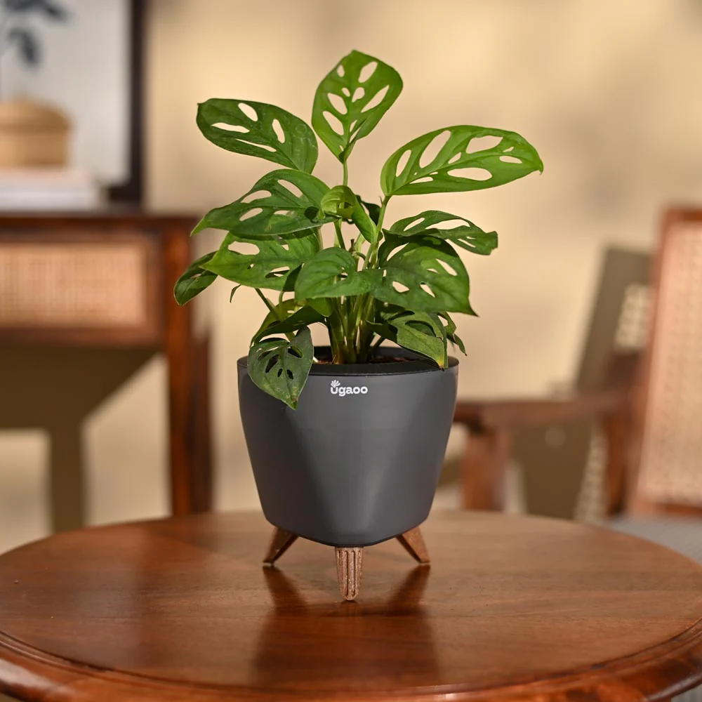 Product image 98