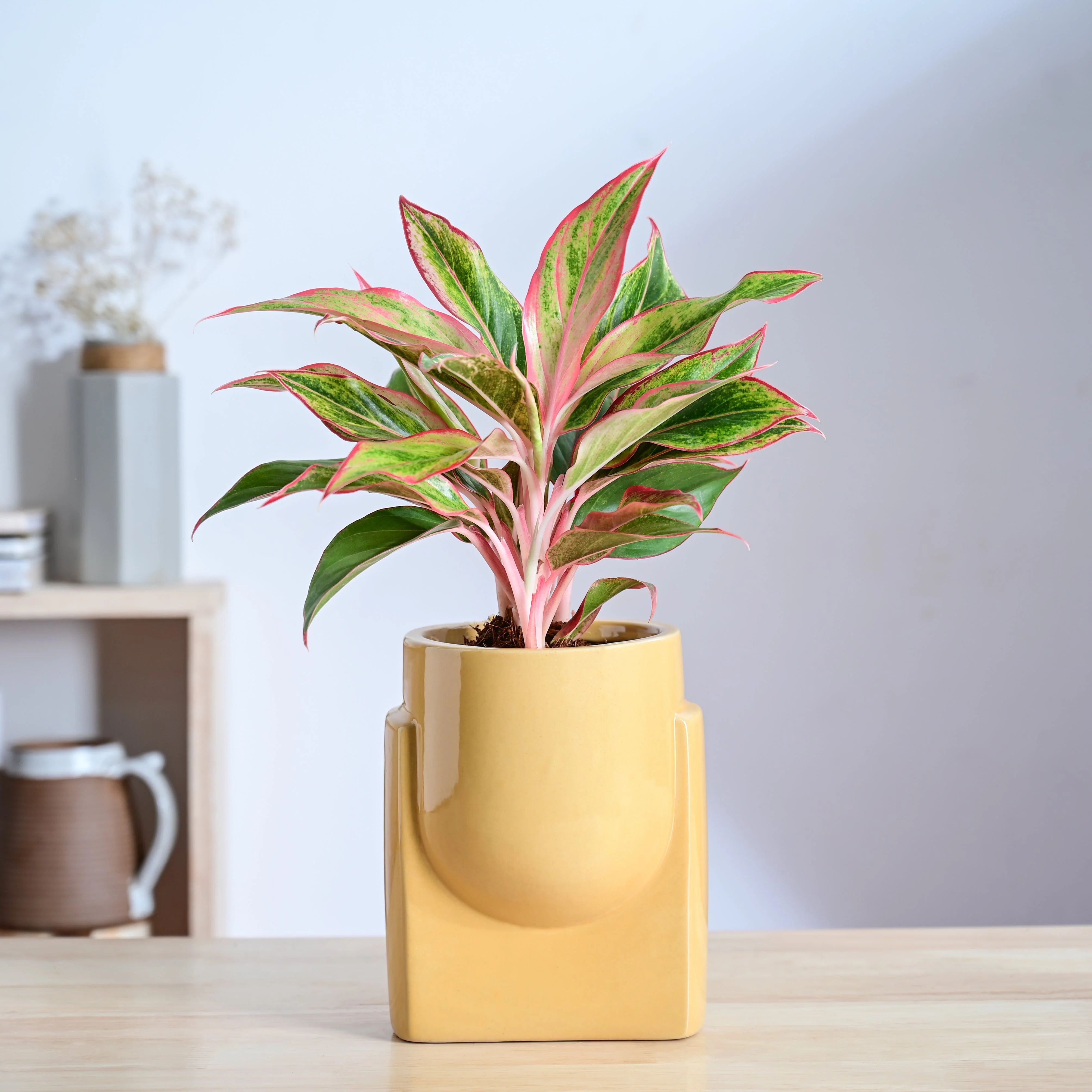Product image 105