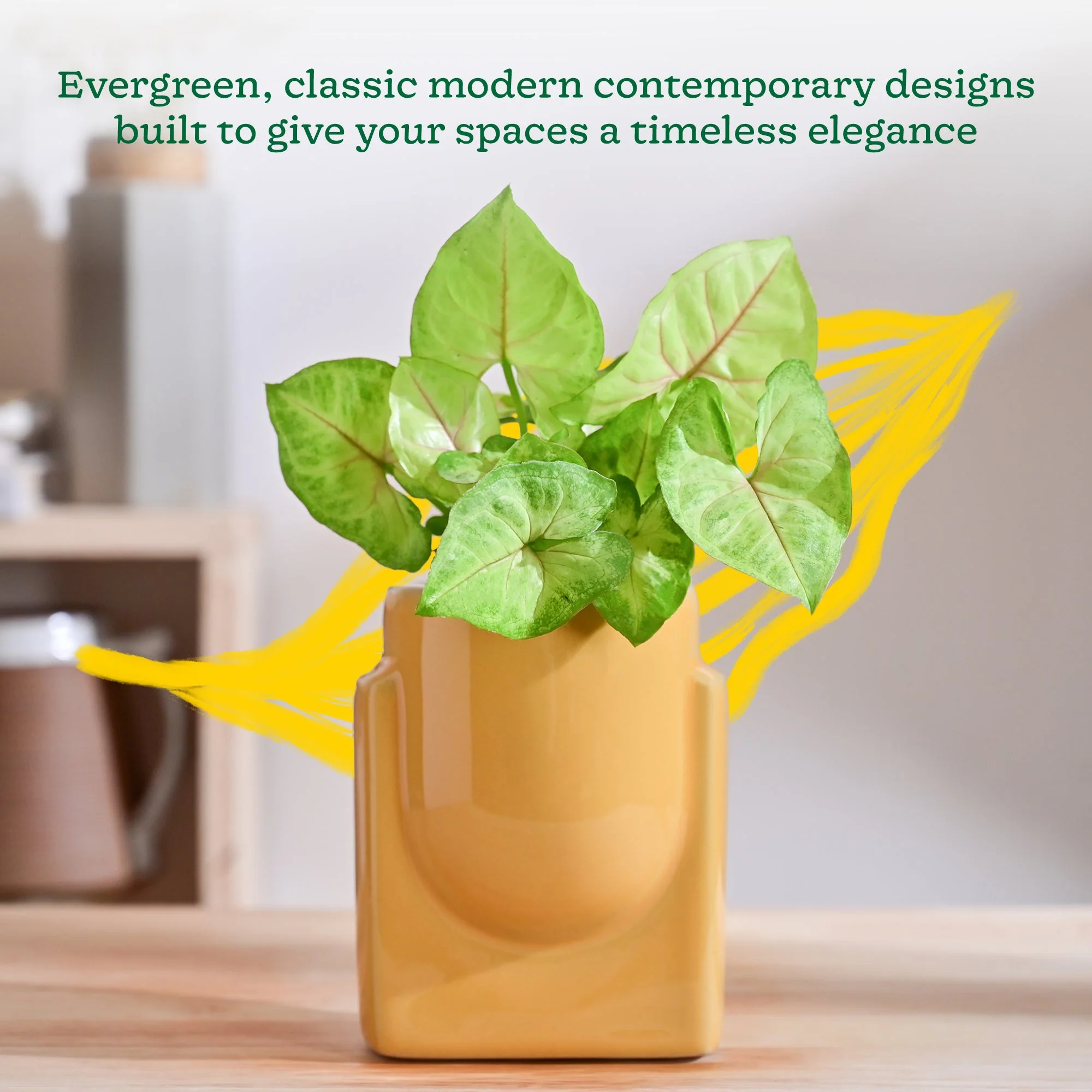 Product image 106