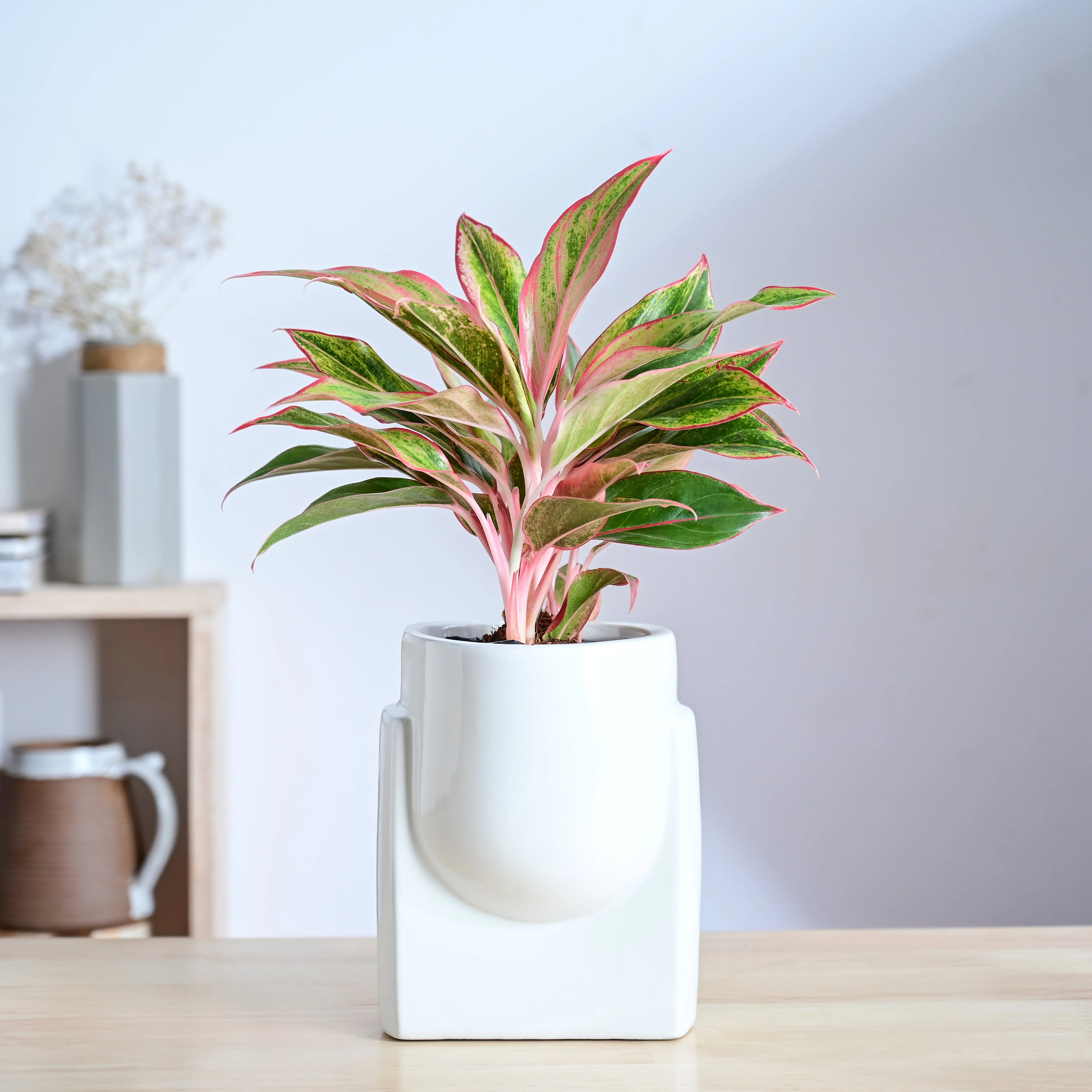 Product image 113