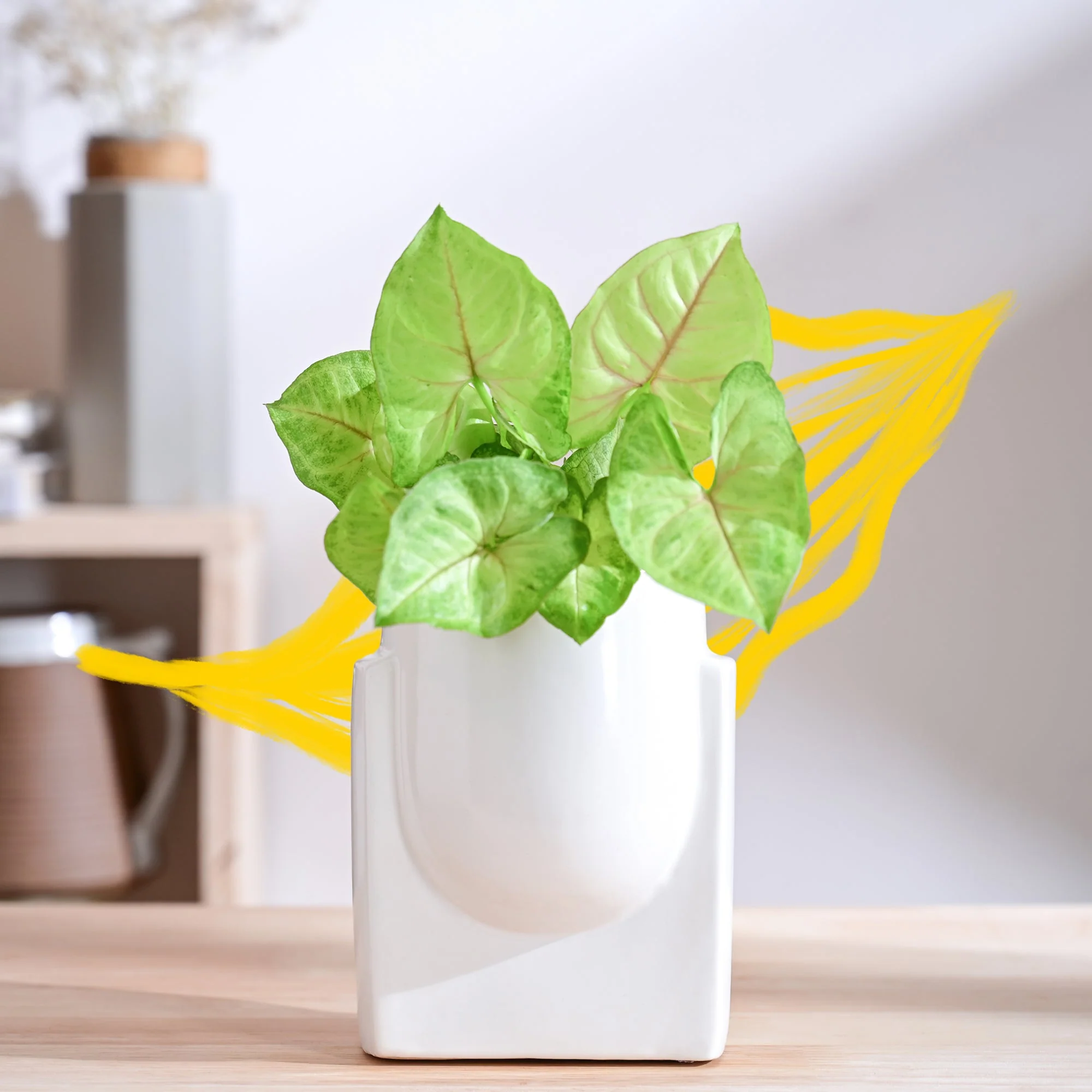 Product image 114