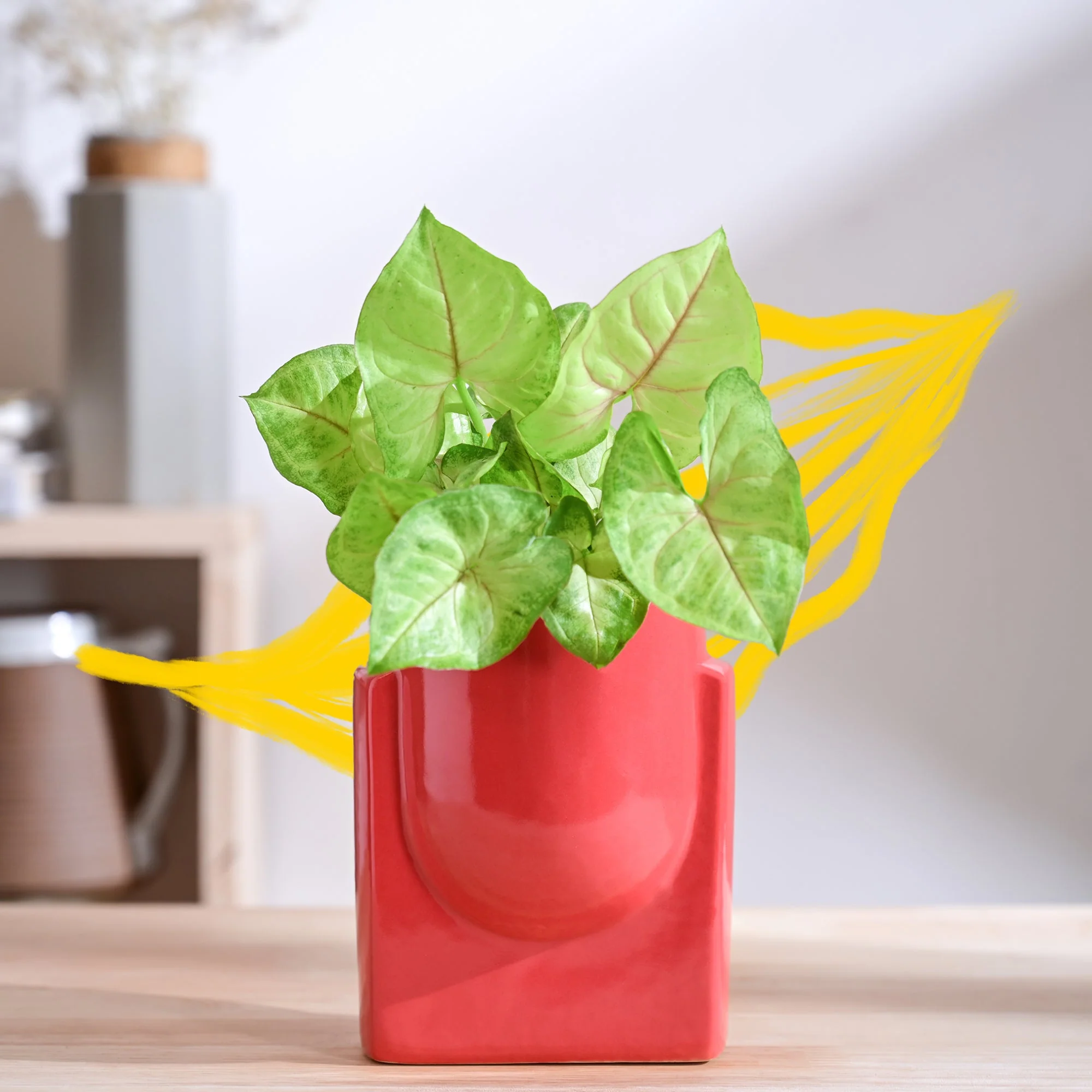 Product image 42