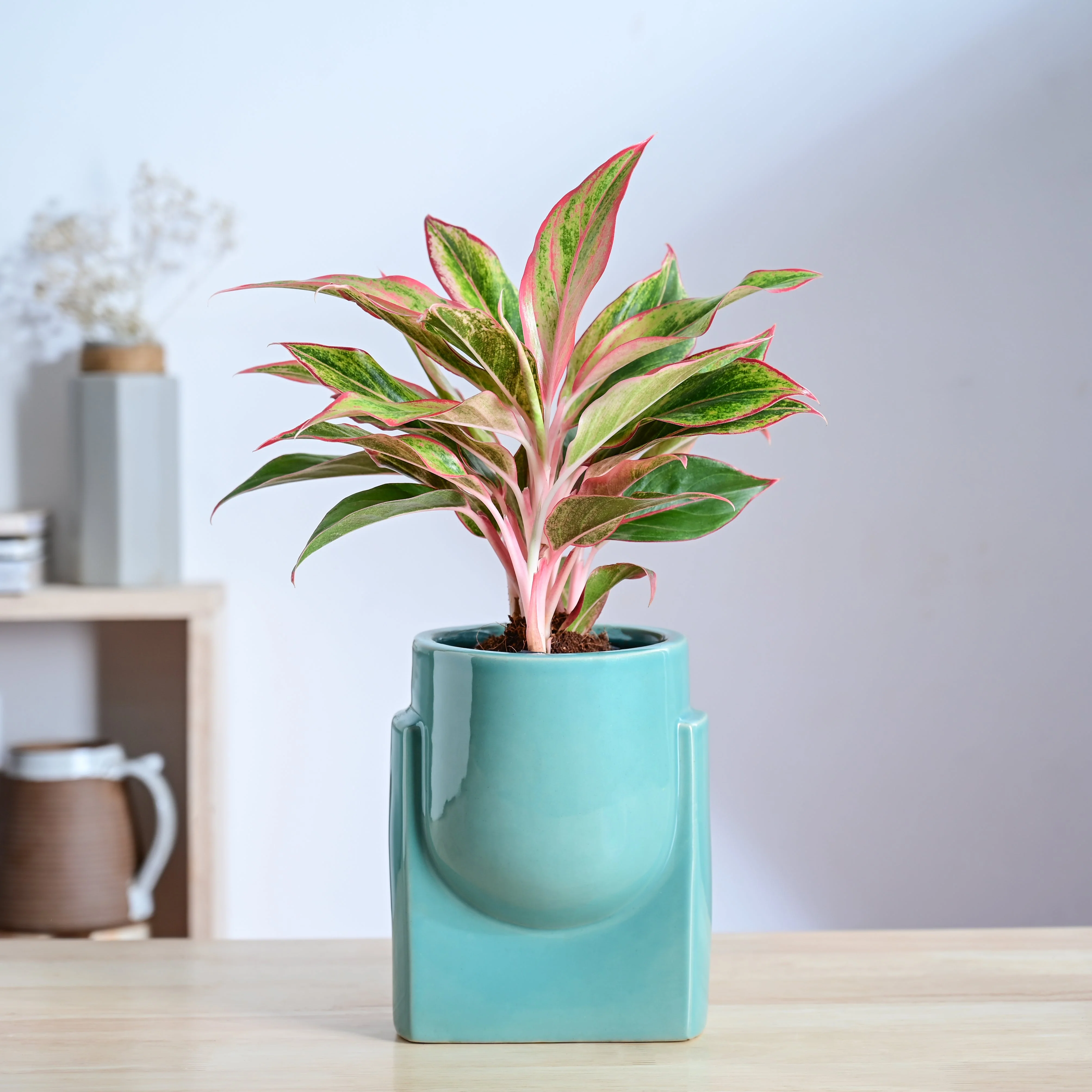 Product image 65