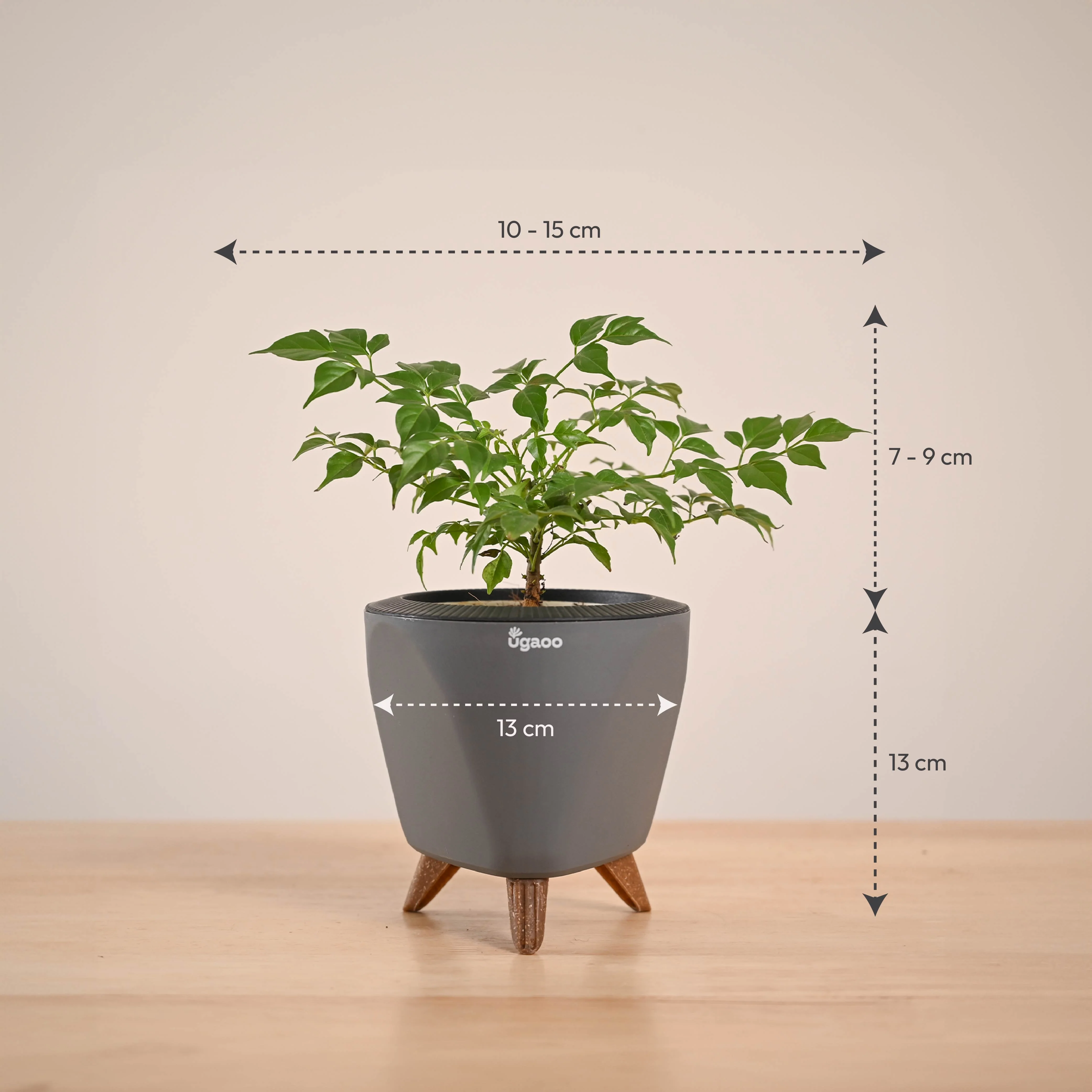 Product image 60