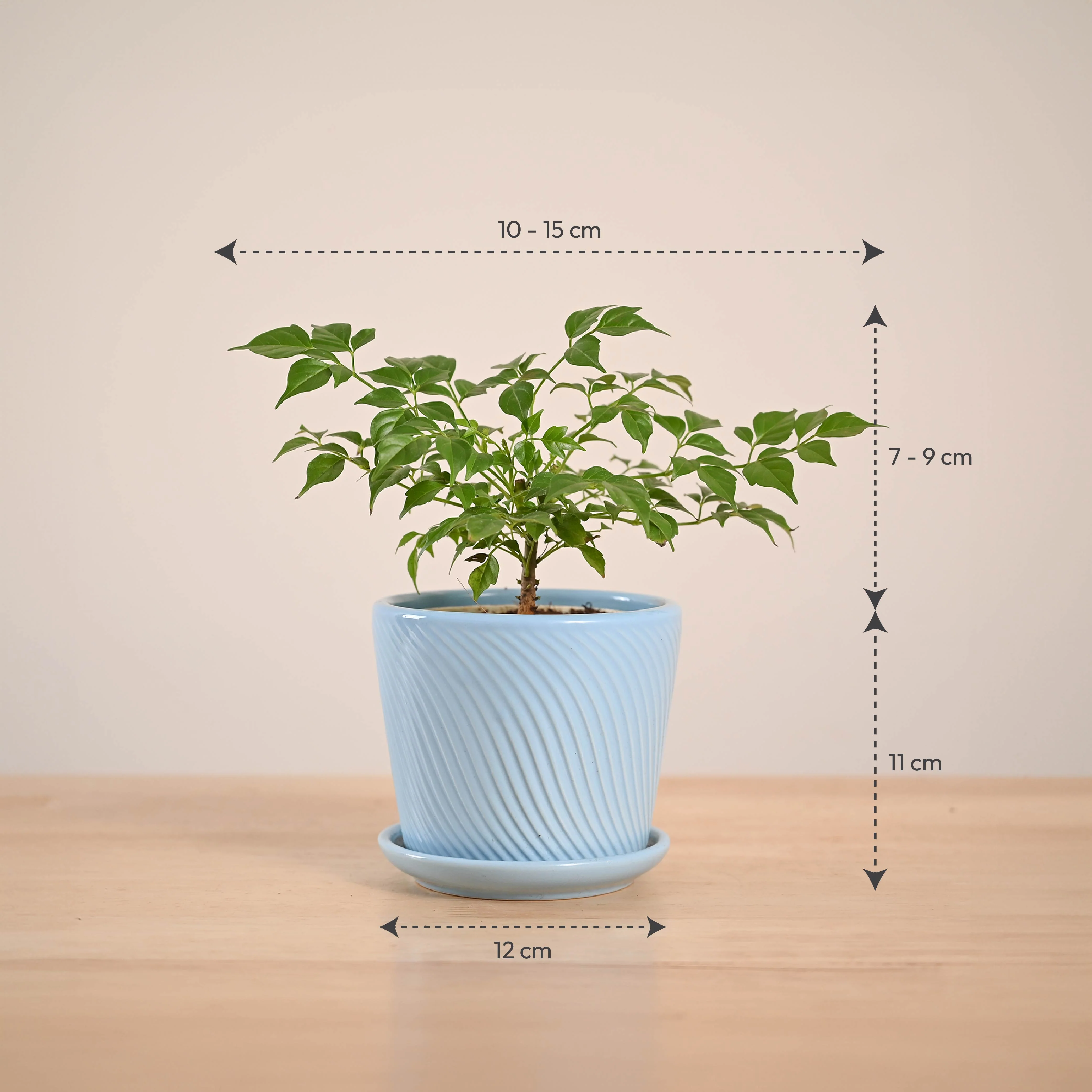 Product image 80