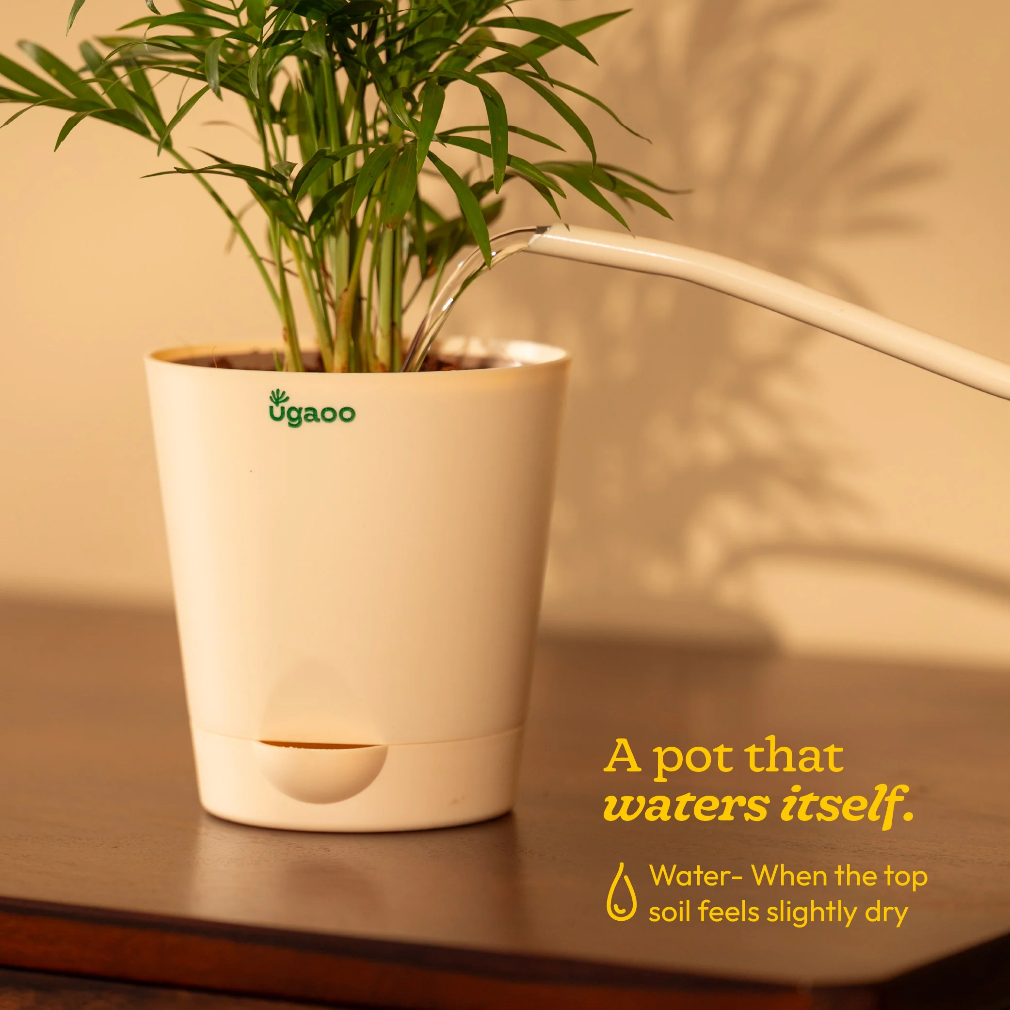 Product image 105