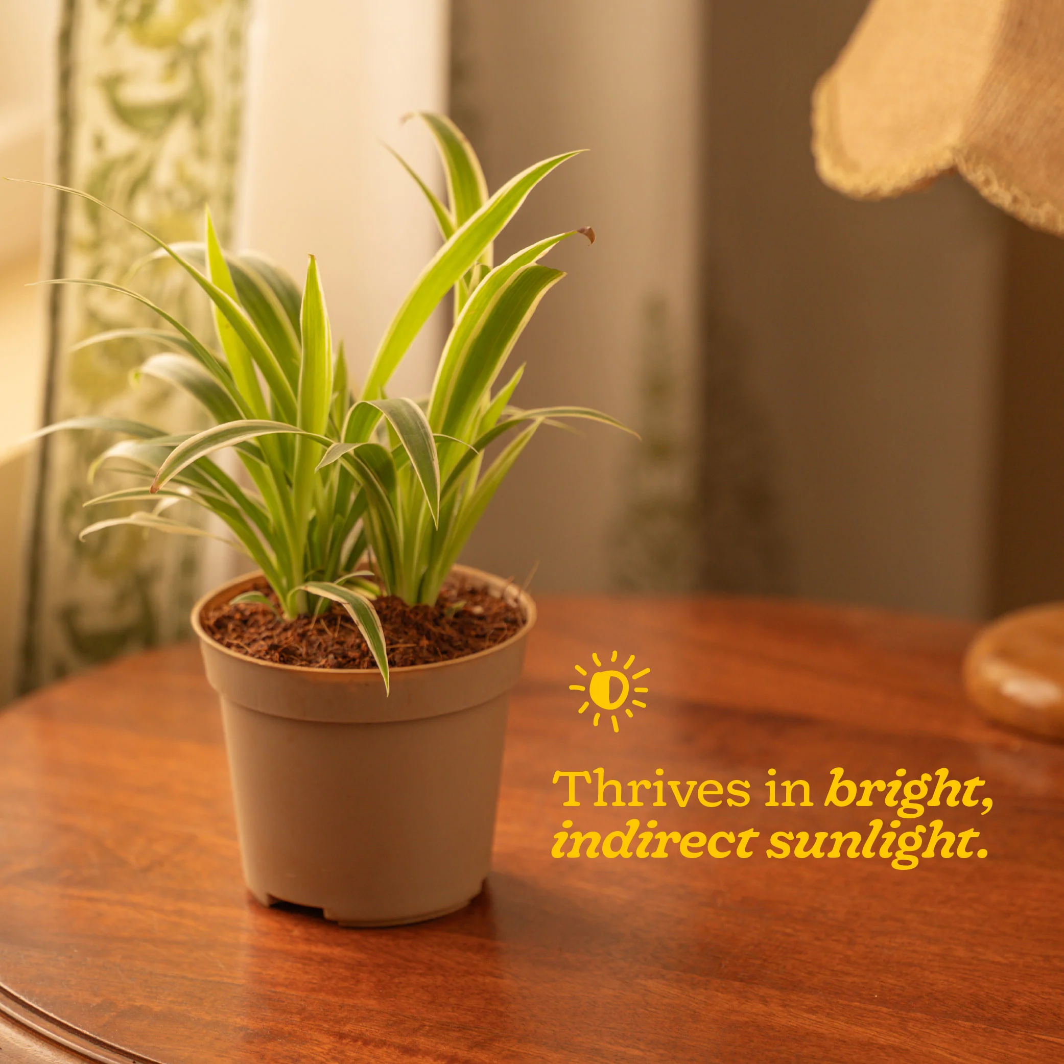Product image 106