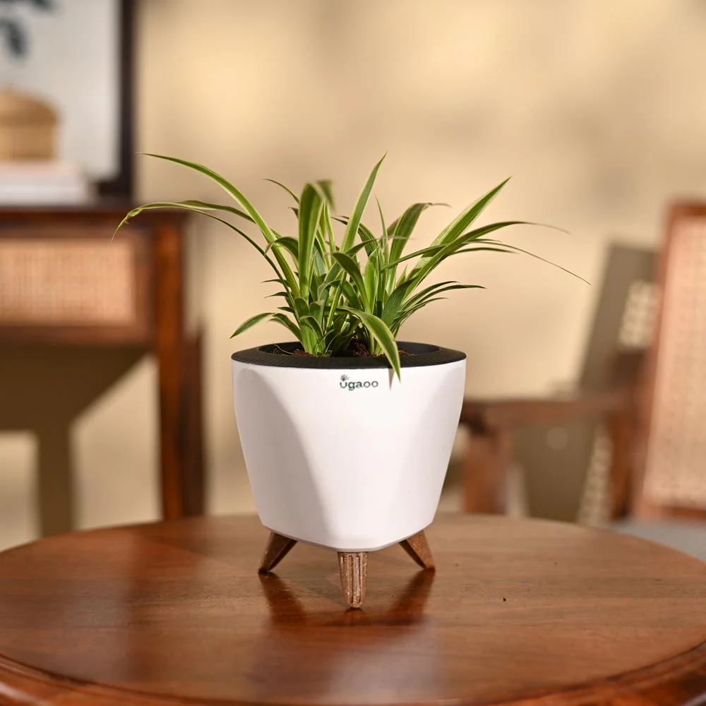 Product image 88