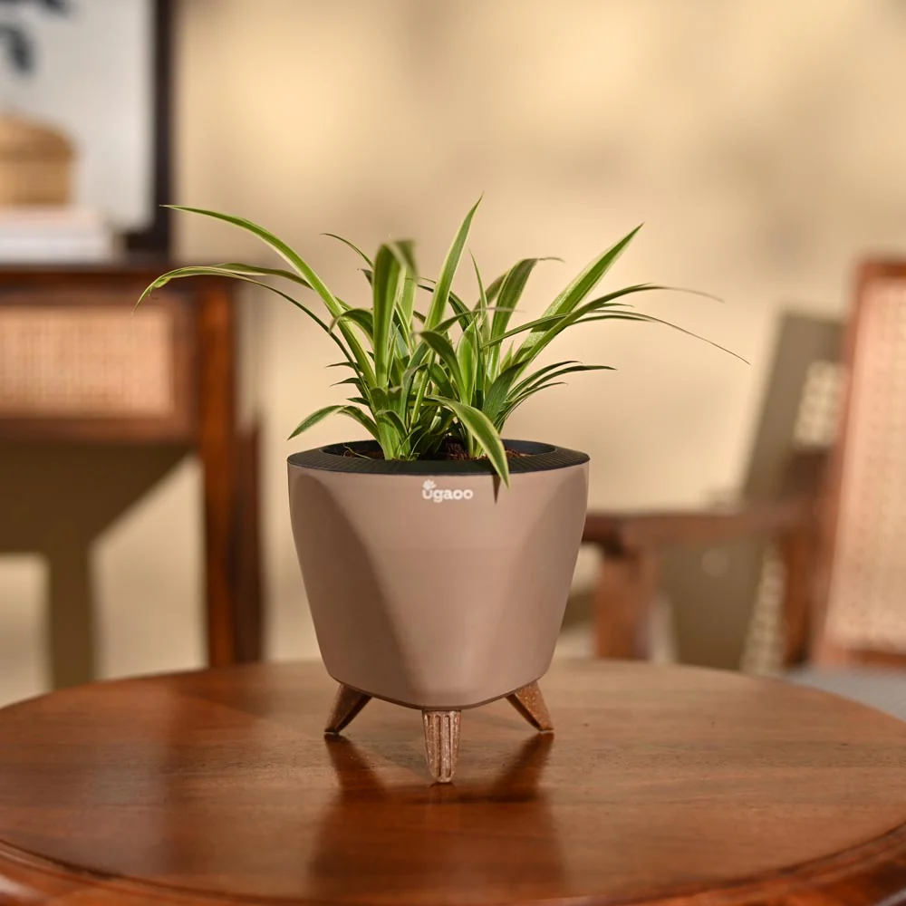 Product image 89