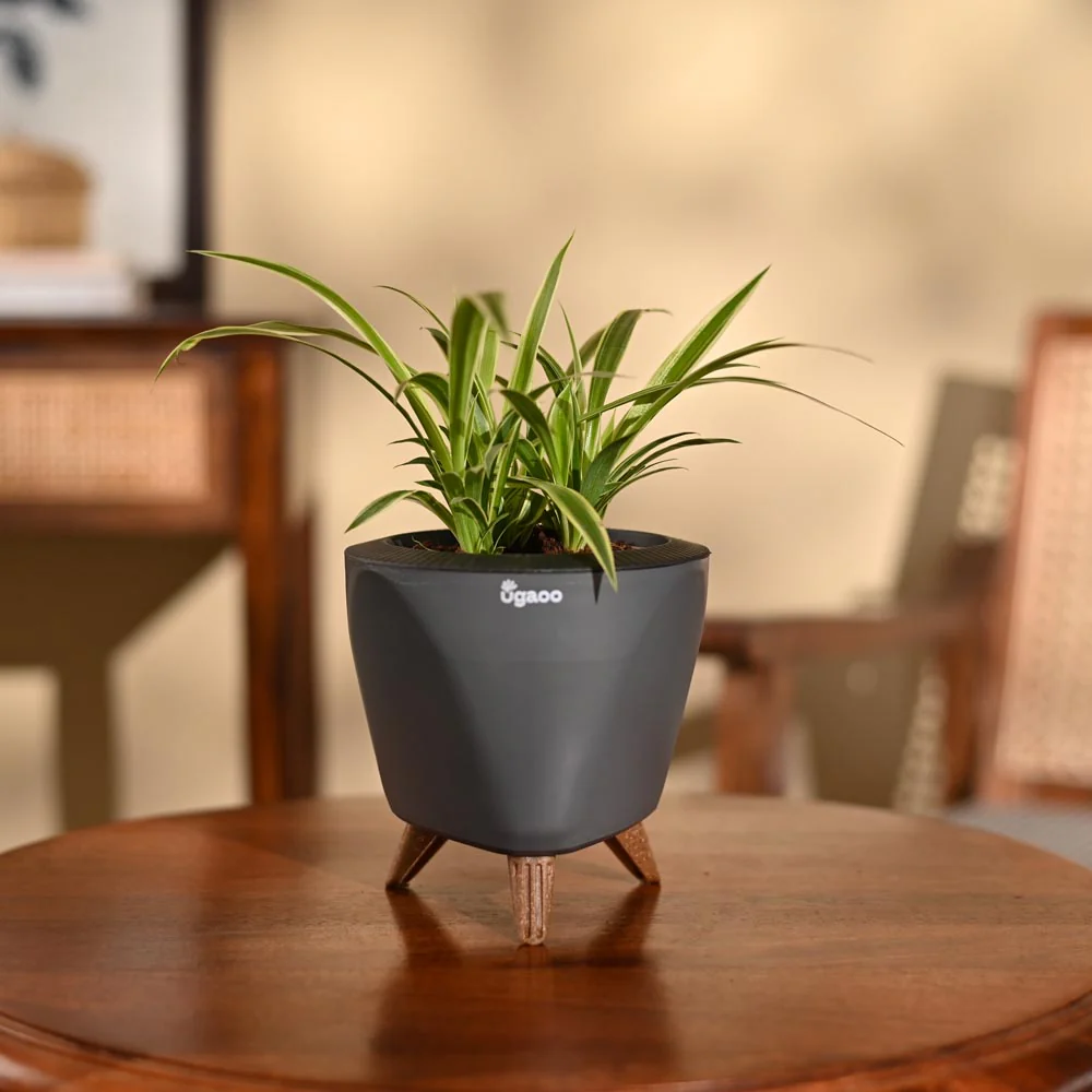 Product image 90