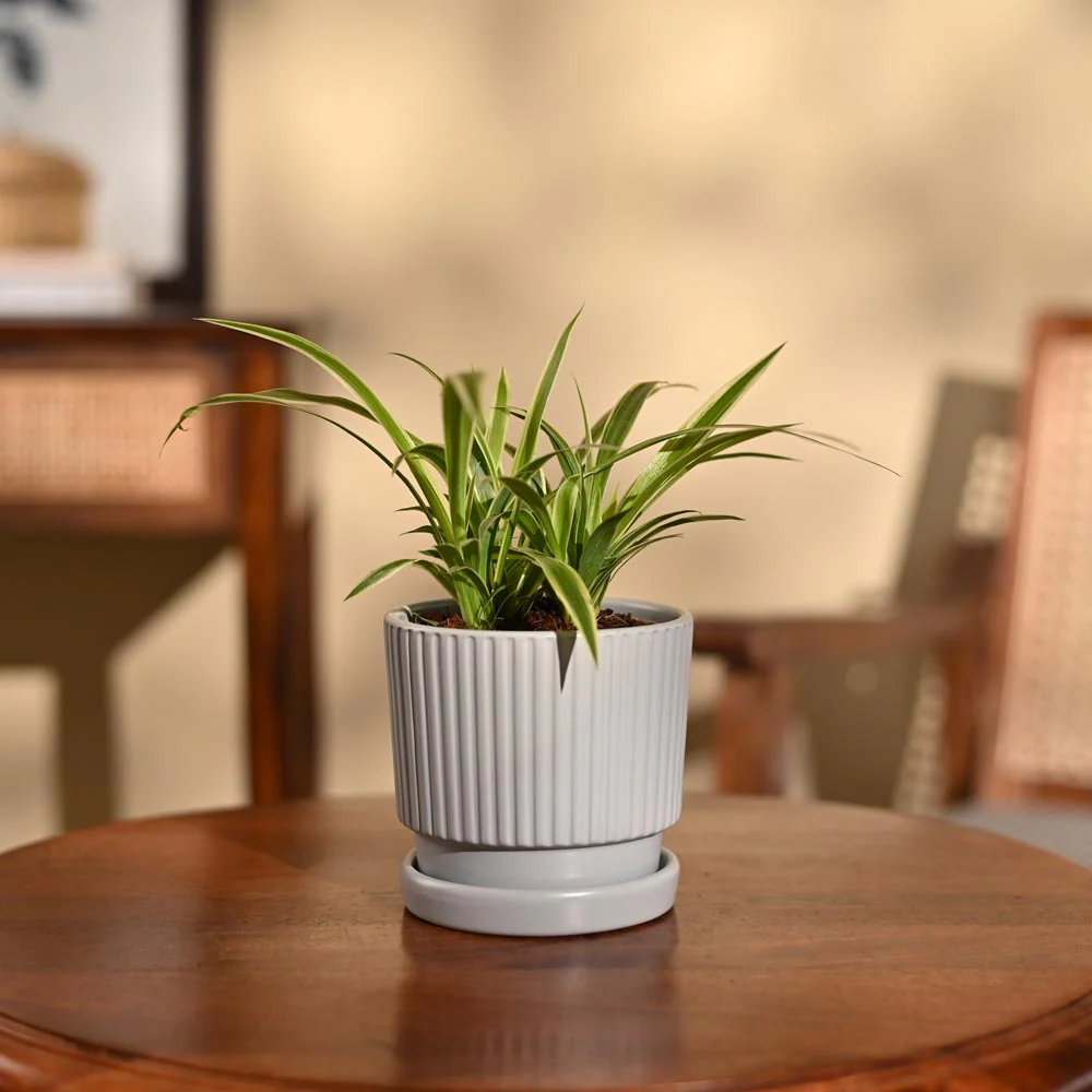 Product image 94