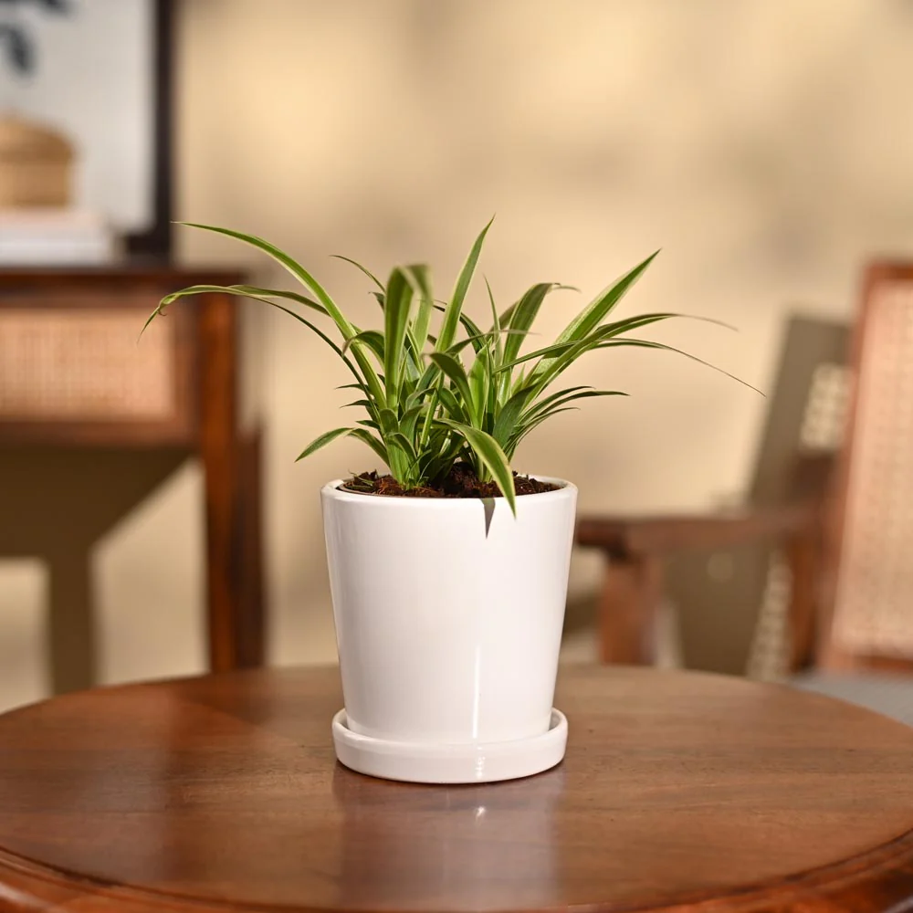 Product image 95
