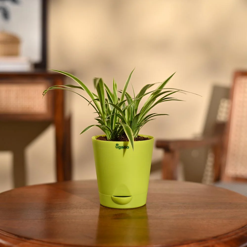 Product image 98