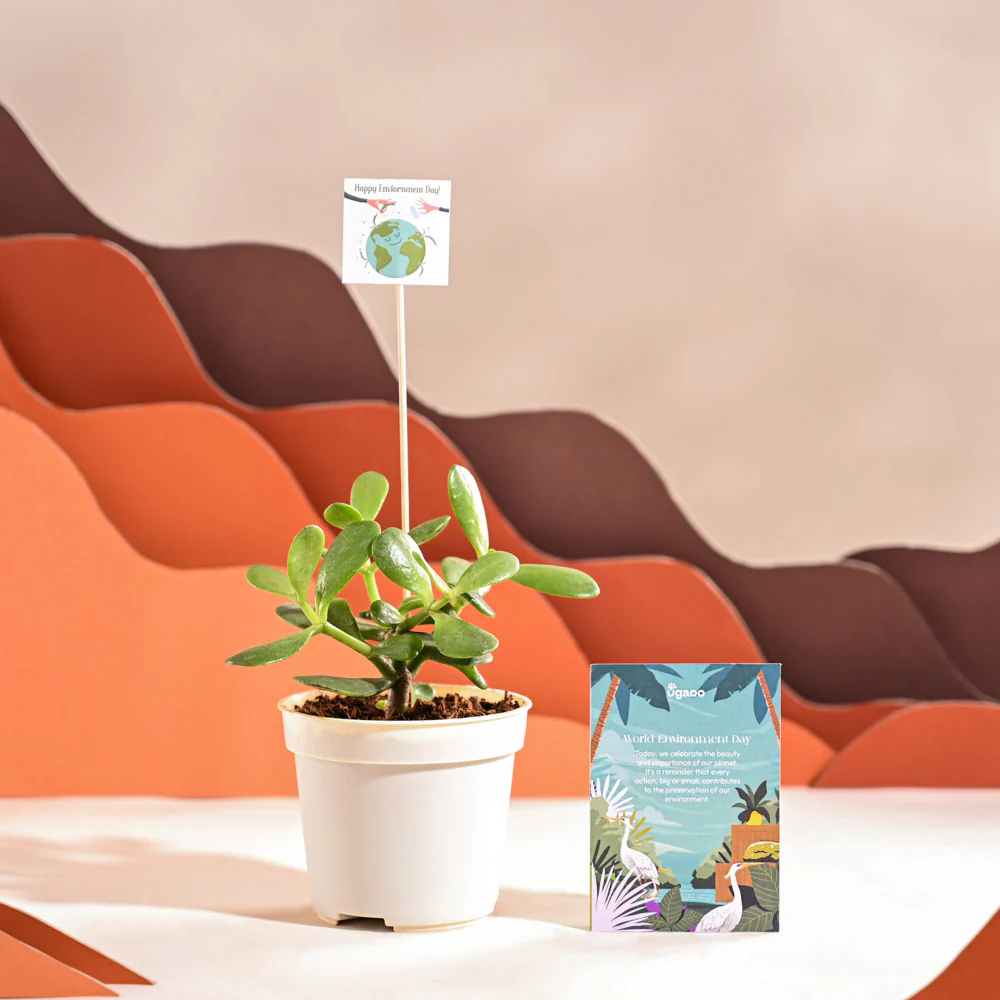 Product image 68