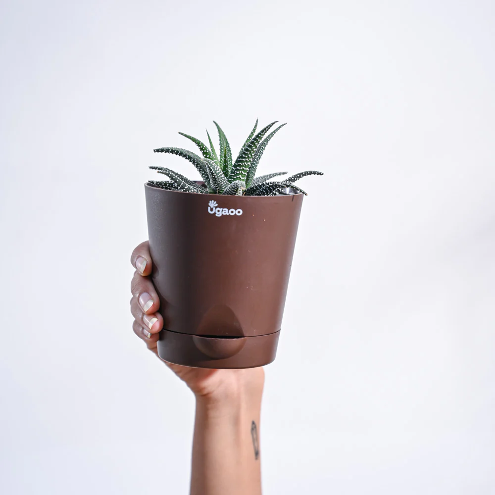 Product image 106