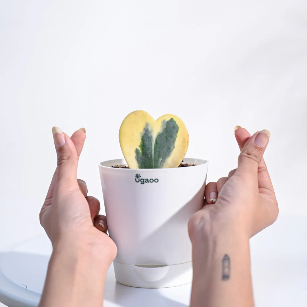 Product image 121