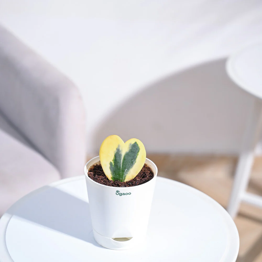 Product image 93