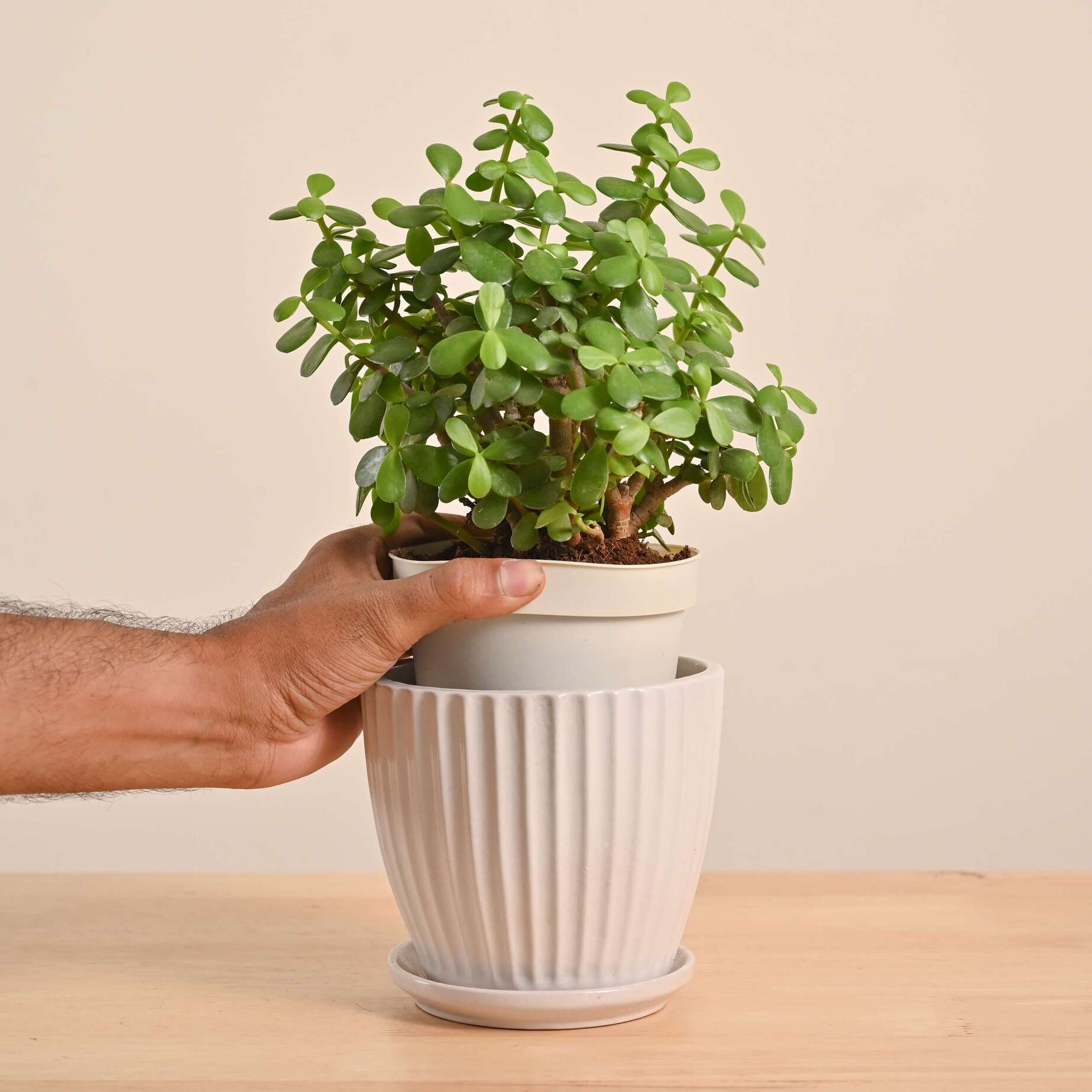 Product image 44