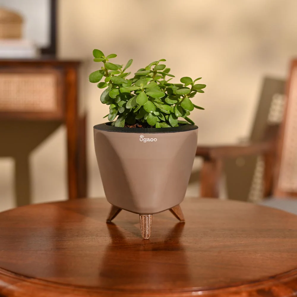 Product image 75
