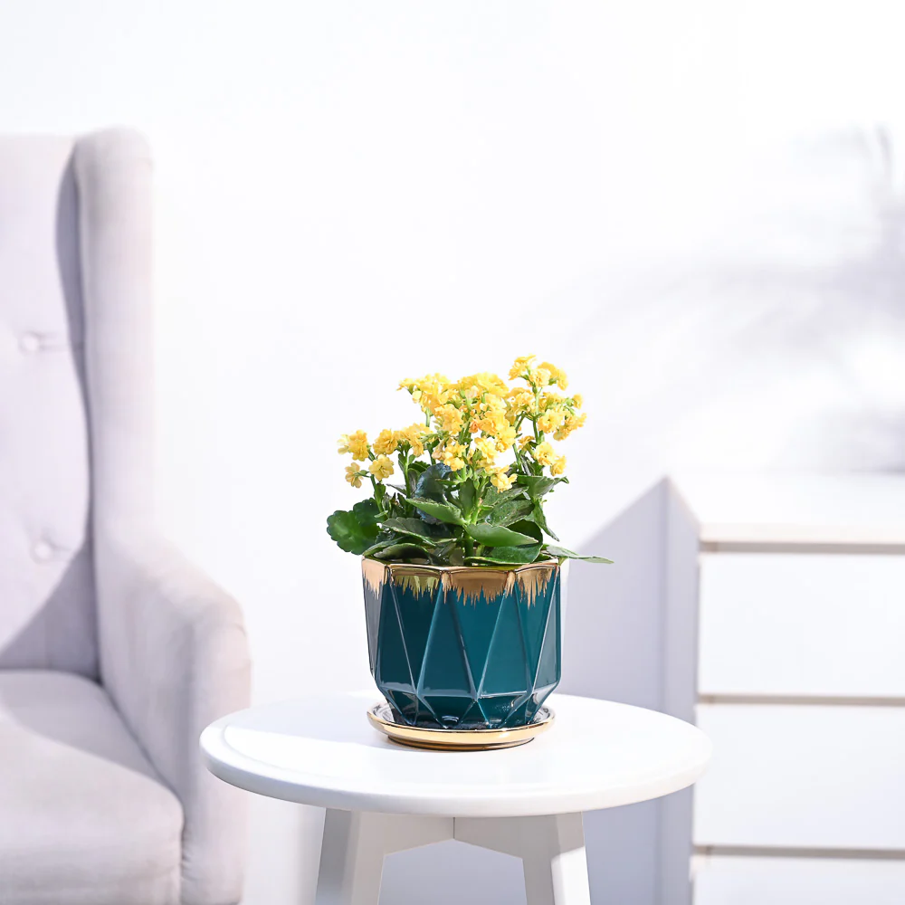 Product image 112