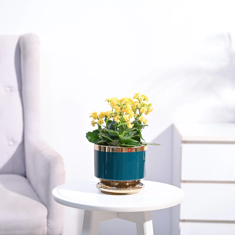 Product image 87