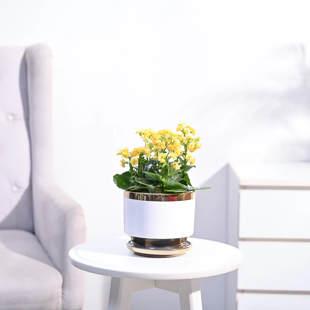 Product image 92