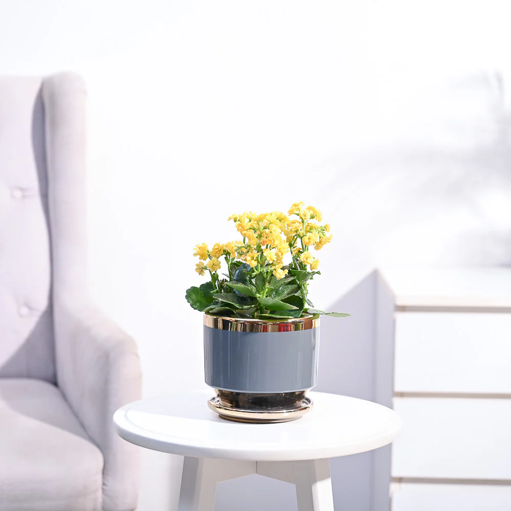 Product image 97