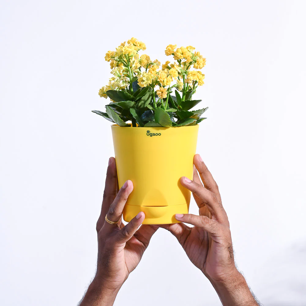 Product image 99
