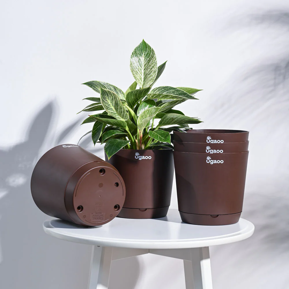 Product image 75